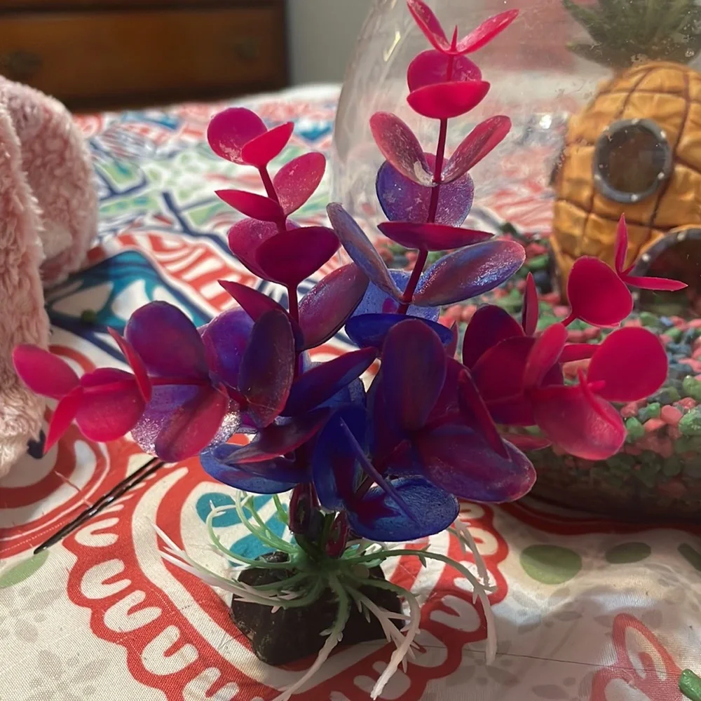 I’m am selling a small aquarium with a PLASTIC plant and a SpongeBob pineapple